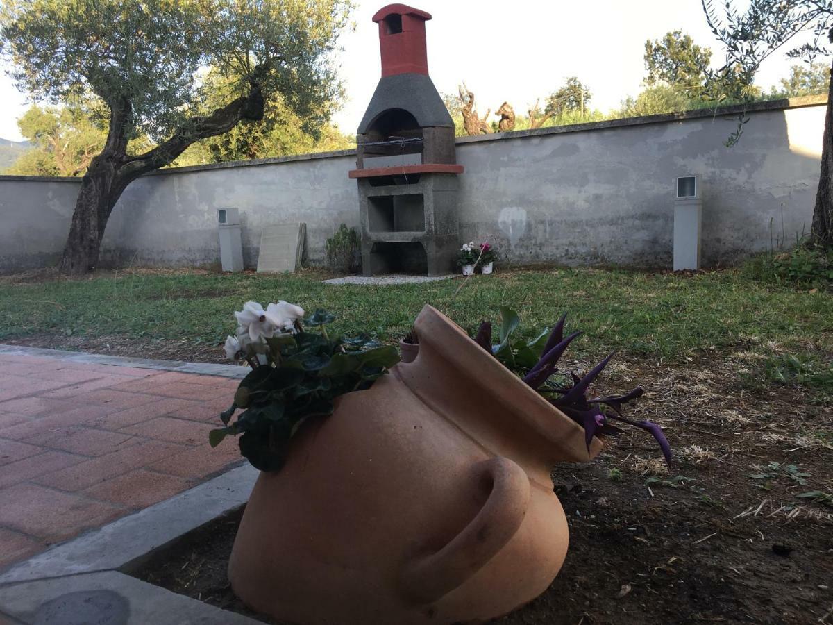 Lunezia Villa Sarzana Dış mekan fotoğraf